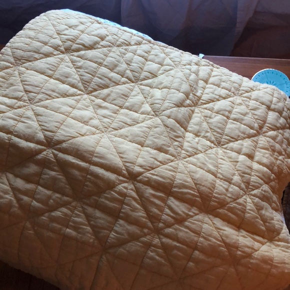 West Elm Euro Sham - Picture 2 of 4